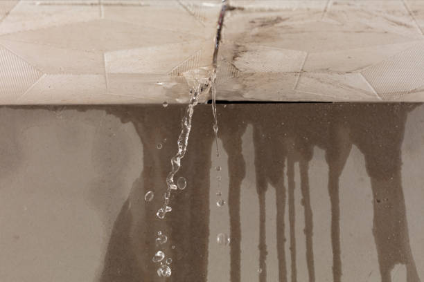 Professional Structural Drying technician working in Lincoln, IL